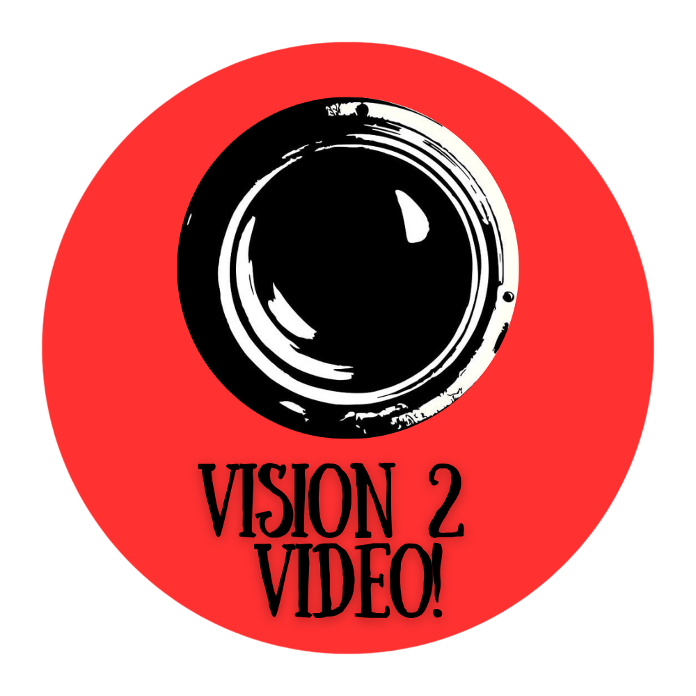 Vision2Video